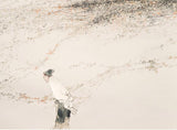 THE CONFUCIAN IN SPRING