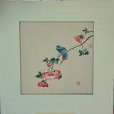 Blue Bird and Cotton Rose