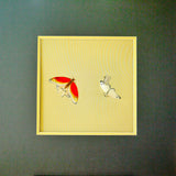 Butterflies