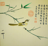 Sparrow