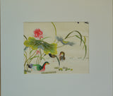 Mandarin Ducks and Lotus Pond
