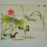 Mandarin Ducks and Lotus Pond