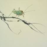 Scenes from Nature VI ( Mantis, Grapes and Bee)